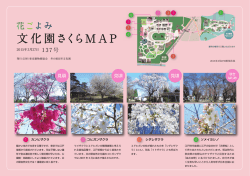 花ごよみ「文化園さくらMAP」2015年3月27日号