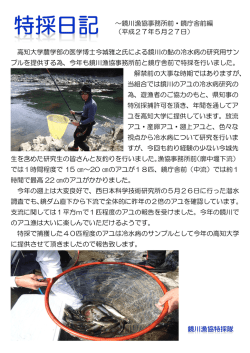 ～鏡川漁協事務所前・鏡庁舎前編 （平成27年5月27日） 高知大学