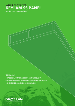 ストレストスキンパネル