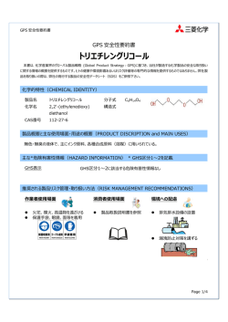 GPS 安全性要約書(GSS)
