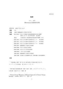 PDF版略歴 - 山口光恒ホームページ
