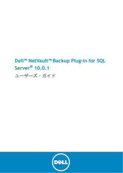 Dell NetVault Backup Plug
