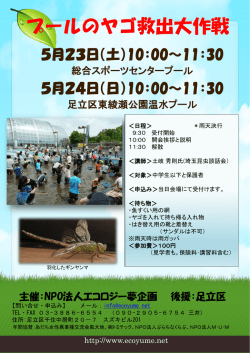 プールのヤゴ救出大作戦2015チラシ