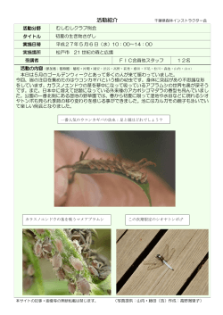 初夏の生き物さがし - 千葉県森林インストラクター会