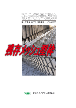 国土交通省 NETIS 登録番号 ： KT050067