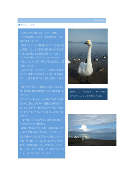 スワン•ドゥ - 白鳥電力株式会社