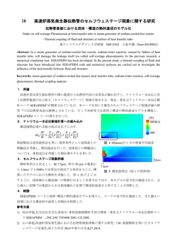 I4 高速炉蒸気発生器伝熱管のセルフウェステージ現象に関する研究