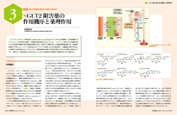 SGLT2 阻害薬の 作用機序と薬理作用