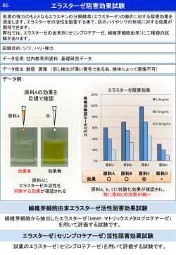 エラスターゼ阻害効果試験（セリンプロテアーゼ、 線維芽細胞由来）