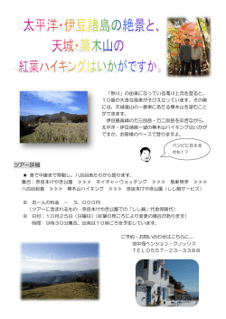 東伊豆ECOツーリズム協議会の「箒木山林道を歩くエコツアー」