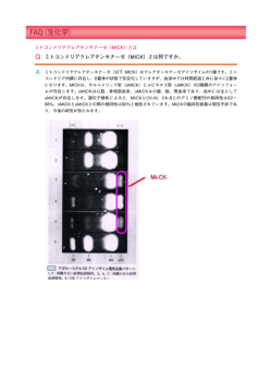 ミトコンドリアクレアチンキナーゼ（MtCK）