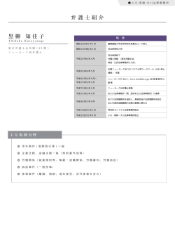 プロフィールをpdfファイルで表示