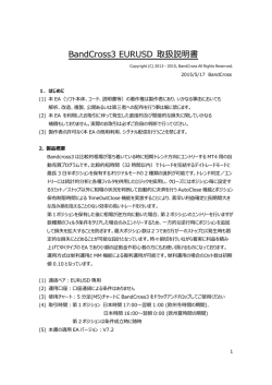 BandCross3 EURUSD 取扱説明書
