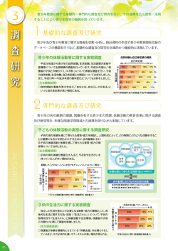 調査研究(PDF/1.3MB) - 独立行政法人 国立青少年教育振興機構