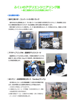 主な展示内容