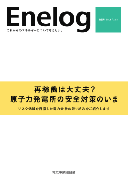 リスク低減を目指した電力会社の取り組みをご紹介します