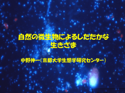 自然の微生物によるしたたかな 生きざま