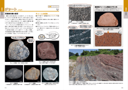 ページ見本pdf