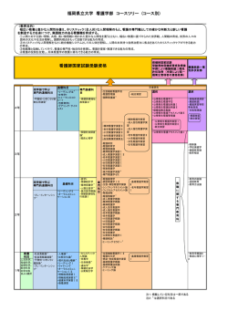福岡県立大学 看護学部 コースツリー (コース別) 看護師国家試験受験資格