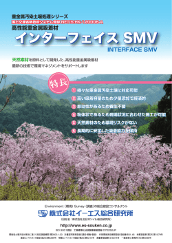 インターフェイス SMV インターフェイス SMV