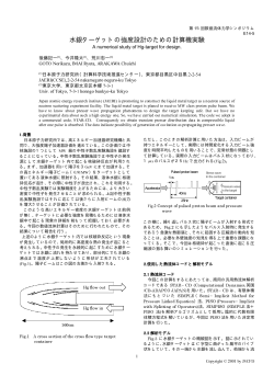 水銀ターゲットの強度設計のための計算機実験