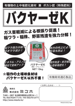 バクヤーゼKチラシ