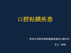 学術講演会（26.7.15）資料