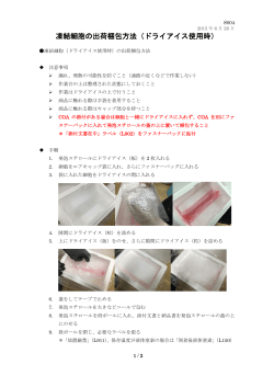 凍結細胞の出荷梱包方法（ドライアイス使用時）
