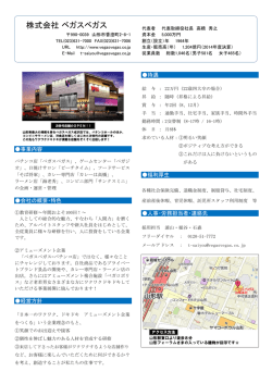 株式会社 ベガスベガス