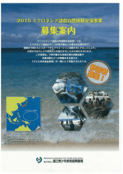 募集要項(PDF/852KB) - 独立行政法人 国立青少年教育振興機構