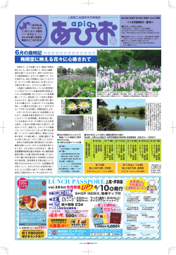 上尾商工会議所情報紙 『あぴお』 2015年6月号（PDFファイル)