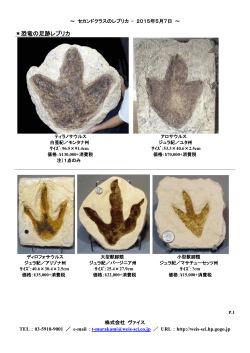 ＊恐竜の足跡レプリカ