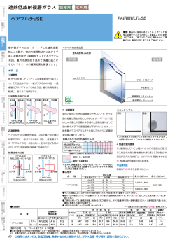 ペアマルチ SE