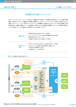 お客様の声分析ソリューション