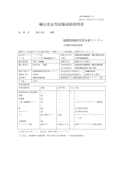 詳細情報（PDF）