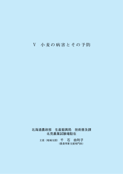 小麦の病害とその予防 - 北海道米麦改良協会