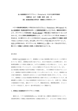 加藤幸成