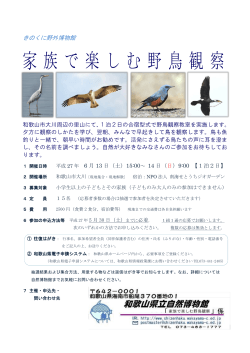 家族で楽しむ野鳥観察 - 和歌山県立自然博物館