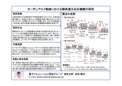 カーボンアロイ触媒における酸素還元反応機構の研究