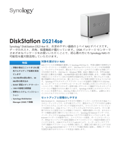 DiskStation DS214se