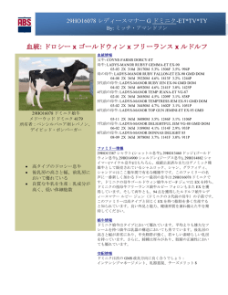詳細を見る