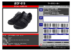 デイフォース DF-919（芯なし）