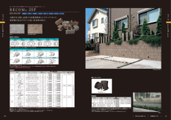 RECOM &reg; 2 SP