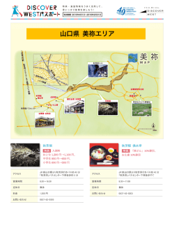 DISCOVER WEST パスポート