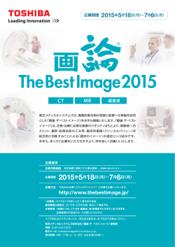 PDFファイル（593KB） - 画論 The Best Image 2015