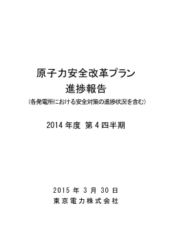 原子力安全改革プラン 進捗報告