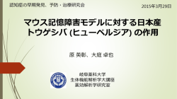 マウス記憶障害モデルに対する日本産トウゲシバ (ヒューペルジア) の作用