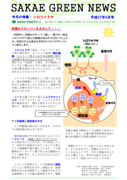 SAKAE GREEN NEWS