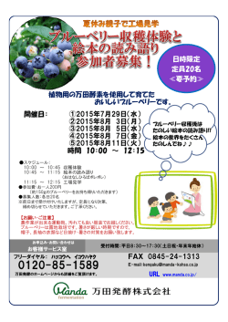 植物用の万田酵素を使用して育てた おいしいブルーベリーです。