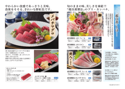 メバチマグロ